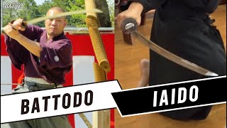 The Truth about the Conflict of Iaido and Battodo ft Warakiri Battosai [upl. by Yltsew]