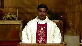 Catholic Mass Today  Daily TV Mass Thursday July 11 2024 [upl. by Nirot946]