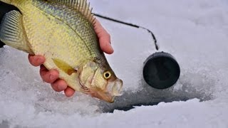 Basin Crappie Basics from Bloomer WI  quotInDepth Outdoorsquot TV Season 7 Episode 10 [upl. by Culley]