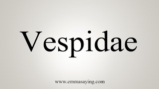 How To Say Vespidae [upl. by Llig333]