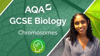 AQA GCSE Biology Chromosomes [upl. by Eizle]