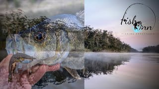 Bream And EP Fishing In Paradise Daiwa 235quot Prawns [upl. by Noswal447]