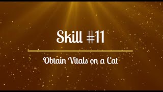 Skill 11 Obtain Vitals on a Cat [upl. by Wright]