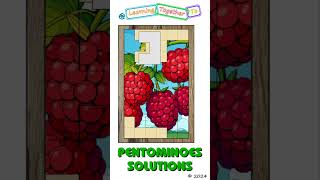 9000 Solutions 36 Pentominoes Math Puzzle mathchallenge Shorts puzzlegames [upl. by Nimra]