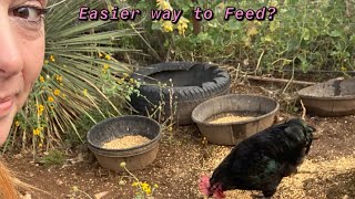 Rodent Proof Chicken Feeder Make life easier [upl. by Ebsen]