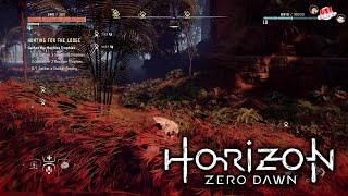 HORIZON ZERO DAWN  Hunting for the lodge  Sawtooth Stalker and Ravager Gameplay [upl. by Fatsug]