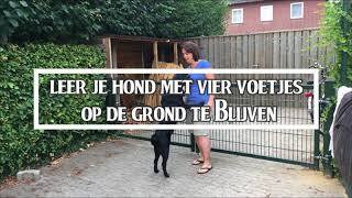 Opspringen afleren bij honden [upl. by Hein67]