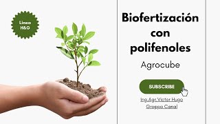 BIOFERTILIZACION CON POLIFENOLES [upl. by Atilehs277]