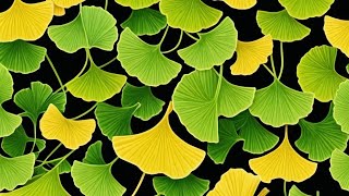 Ginkgo Biloba and its amazing benefits for health 🌿 [upl. by Akiret68]