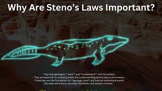 Nicolaus Steno Steno’s Laws of Stratigraphy [upl. by Innavoeg]