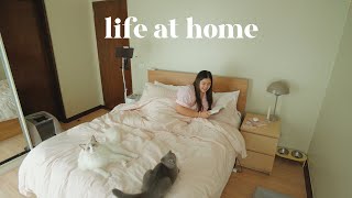 LIFE AT HOME Cozy Room Tour Trying New Recipes and Ikea Haul🍋📦🍚 Jammy Cruz [upl. by Atirres]