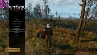 The Witcher 3  AMD Athlon 5150  GTX 750Ti  Medium 1080p [upl. by Dag]