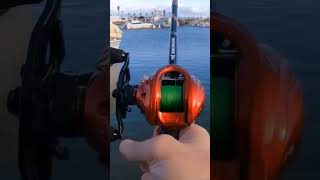 No thumbs can you cast like this Ensuring your reel is dialed in is the key 📹adougslifeyt [upl. by Kerr607]