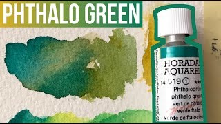 Phthalo Green  Schmincke Horadam Watercolors  The Paint Show 36 [upl. by Laney636]