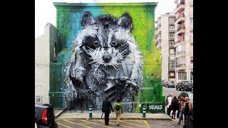 Bordalo II le street artist qui créé avec les déchets [upl. by Jory496]