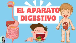 ¡Vamos a aprende el sistema digestivo para niños [upl. by Tarah]