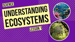 Understanding Ecosystems A Network of Life [upl. by Abixah]