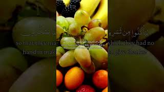 Surah YaseenYasin Ayat no 34 to 35 to 13 qaritareqmohammed surahyaseen quran surah Epi 10 [upl. by Templia]