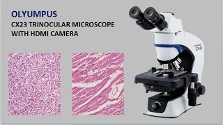 CX23 ll Trinocular Microscope ll Olyumpus ll HDMI Camera ll Full explain ll Medlab Solutions ll 2024 [upl. by Labinnah13]