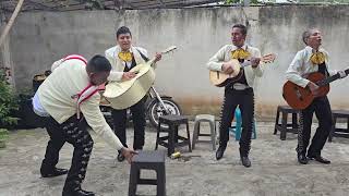 locos locos mariachis jaja [upl. by Aiderfla]