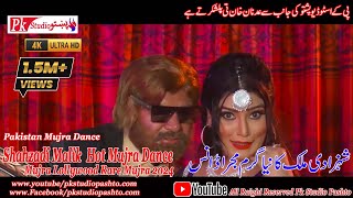 Shahzadi Malik Hot Mujra Dance Pakistani Mujra Lollywood Rare Dance 2024 [upl. by Enelehcim]