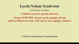 LeschNyhan Syndrome Pronunciation and definition  How to pronounce Lesch Nyhan Syndrome [upl. by Kcinomod569]