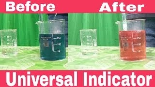 Universal Indicator The best way to test pH of a SolutionExperiment by Anand Mohan [upl. by Nrubyar]