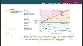 20 Relative concentrations along proximal tubule  USMLE STEP 1 [upl. by Ardnassac]