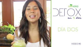 DETOX de Jugos en 3 dias Dia 2 3 Day Juice DETOX  Day 2 [upl. by Oakley]