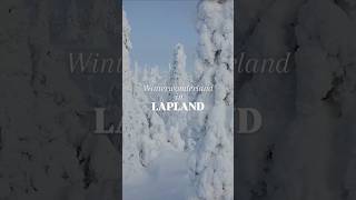 Winterwonderland in Lapland ❄️🛷 [upl. by Drawe]