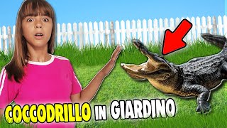 Un COCCODRILLO mi ha attaccato LETIZIA SCOPRE un COCCODRILLO GIGANTE NASCOSTO nel GIARDINO di CASA [upl. by Collette]