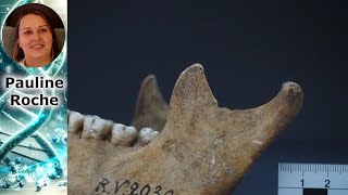 Découverte incroyable  la plus ancienne souche de peste dans un fossile humain [upl. by Aiveneg]