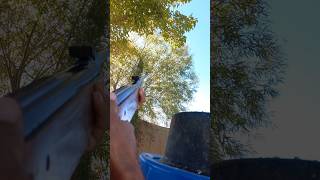 hunting birds with airgun foryou paga birds alihunter hunting [upl. by Luke]