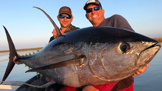 Massive Yellowfin Tuna Vs Big Blackfin Tuna Catch Clean Cook blind Taste test [upl. by Aihcsrop5]