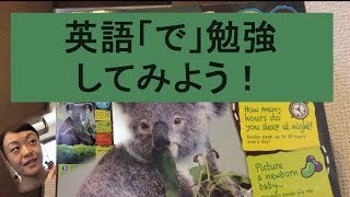 【第90回】 オーストラリアでは常識なコアラ情報！？ 英語で学ぶ感じをつかんでみよう [upl. by Roselba755]