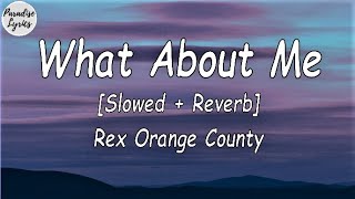 Rex Orange County  What About Me Slowed  Reverb TelevisionSo Far So Good Lyrics Video [upl. by Itra181]