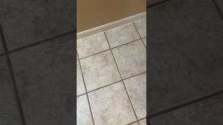 My grout is tan and clean I promise 😂 deepclean groutcleaning cleaning cleantok cleaningvideo [upl. by Adaliah]