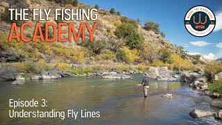 Introduction to Fly Lines  The Fly Fishing Academy Episode 3 [upl. by Aisilef875]