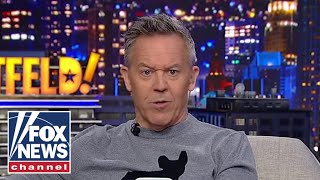 Gutfeld For Gods sakes grow up [upl. by Elva22]