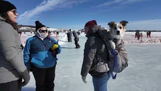 5th Annual Acadian Pond Hockey Tournament [upl. by Grantham]