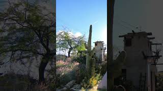 Cabots Pueblo Museum Courtyard [upl. by Oringa]