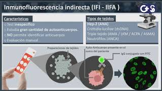 Sesión clínica Explorando los anticuerpo Técnica diagnóstico y relevancia clínica [upl. by Antoinette140]