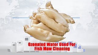 Ozonated Water Used For Fish Maw Cleaning [upl. by Derfnam]