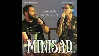 Minisad 17 [upl. by Osrock]