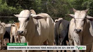 CONFINAMENTO DE BOVINOS TERÁ REDUÇÃO DE 32 EM MT [upl. by Eidnam478]