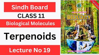 Terpenoids Terpenes Steroids Carotenoid Class 11 Chp1 Biological Molecules  Sindh text book board [upl. by Annaitsirhc]