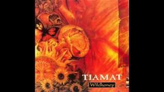 Tiamat  Wildhoney 1994 Full Album [upl. by Smiga48]