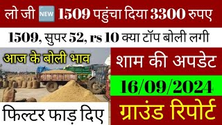 धान के भाव 16 सितंबर 2024  dhan ke bhav  1509 dhan ke bhav  basmati dhan mandi bhav paddy [upl. by Ardnait]