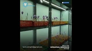 Saffron Cultivation Room with Controlled Atmospheric Conditions [upl. by Strephon]