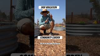 How to Install Drip Irrigation at the Community Garden [upl. by Decima]